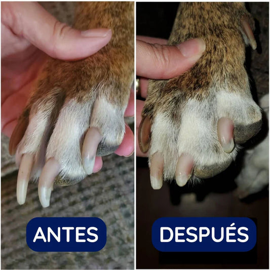 PetPedicure Lima de uñas de precisión: lápiz de aseo silencioso, seguro y sin estrés