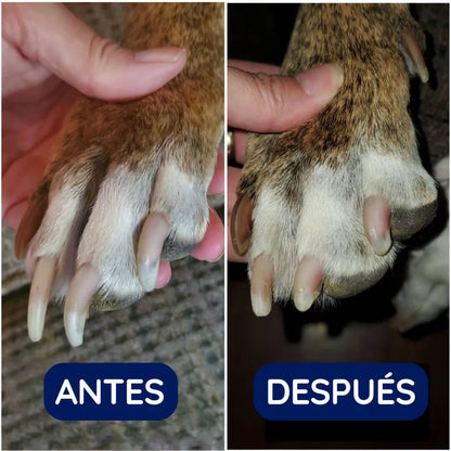 PetPedicure Lima de uñas de precisión: lápiz de aseo silencioso, seguro y sin estrés