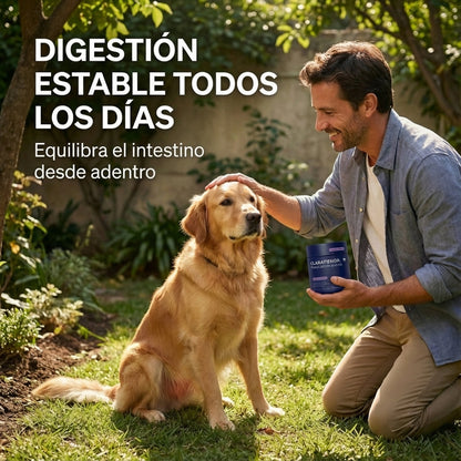 Gomitas Probióticas para Perros — Confort Digestivo Diario
