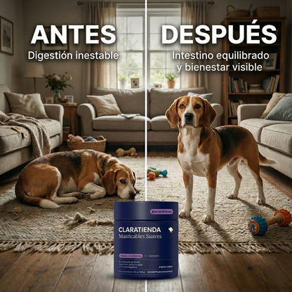 Gomitas Probióticas para Perros — Confort Digestivo Diario